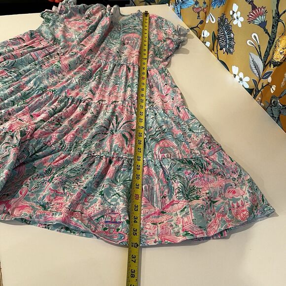 Lilly Pulitzer XXL Jodee Swing Flounce Dress Spotted On Worth rare hard To Find - Picture 9 of 9